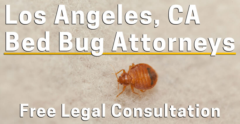 Bed Bug Attorney Los Angeles Bed Bug Lawyer