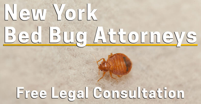 Bed Bug Lawyer New York