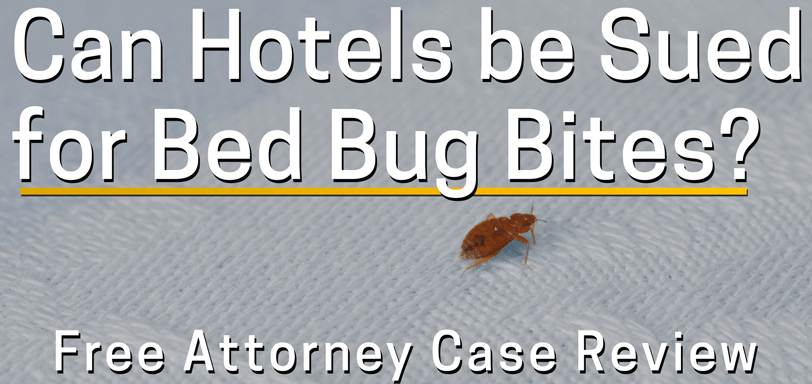 Can I Sue A Hotel For Bed Bug Bites Or A Bed Bug Infestation In My