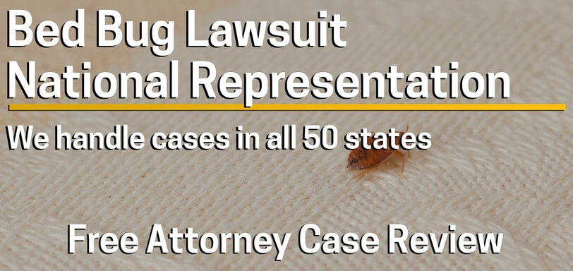 Bed Bug Attorney