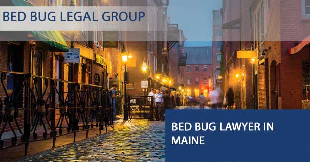 Bed Bug Lawyer in Maine