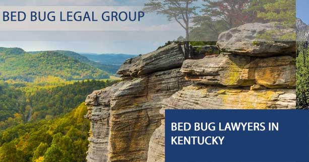 Bed Bug Lawyers in Kentucky