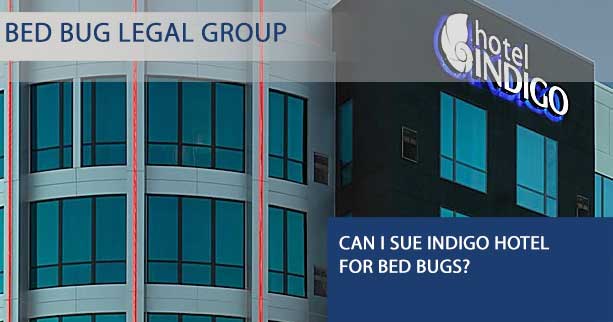 Can I Sue Indigo hotel for Bed Bugs? 