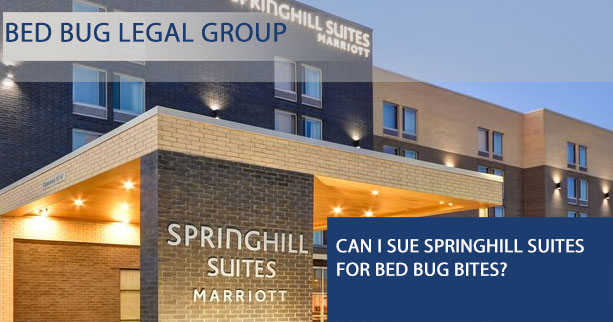 Can You Sue Springhill Suites for Bed Bug Bites?