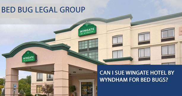 Can I sue Wingate Hotel by Wyndham for Bed Bugs?