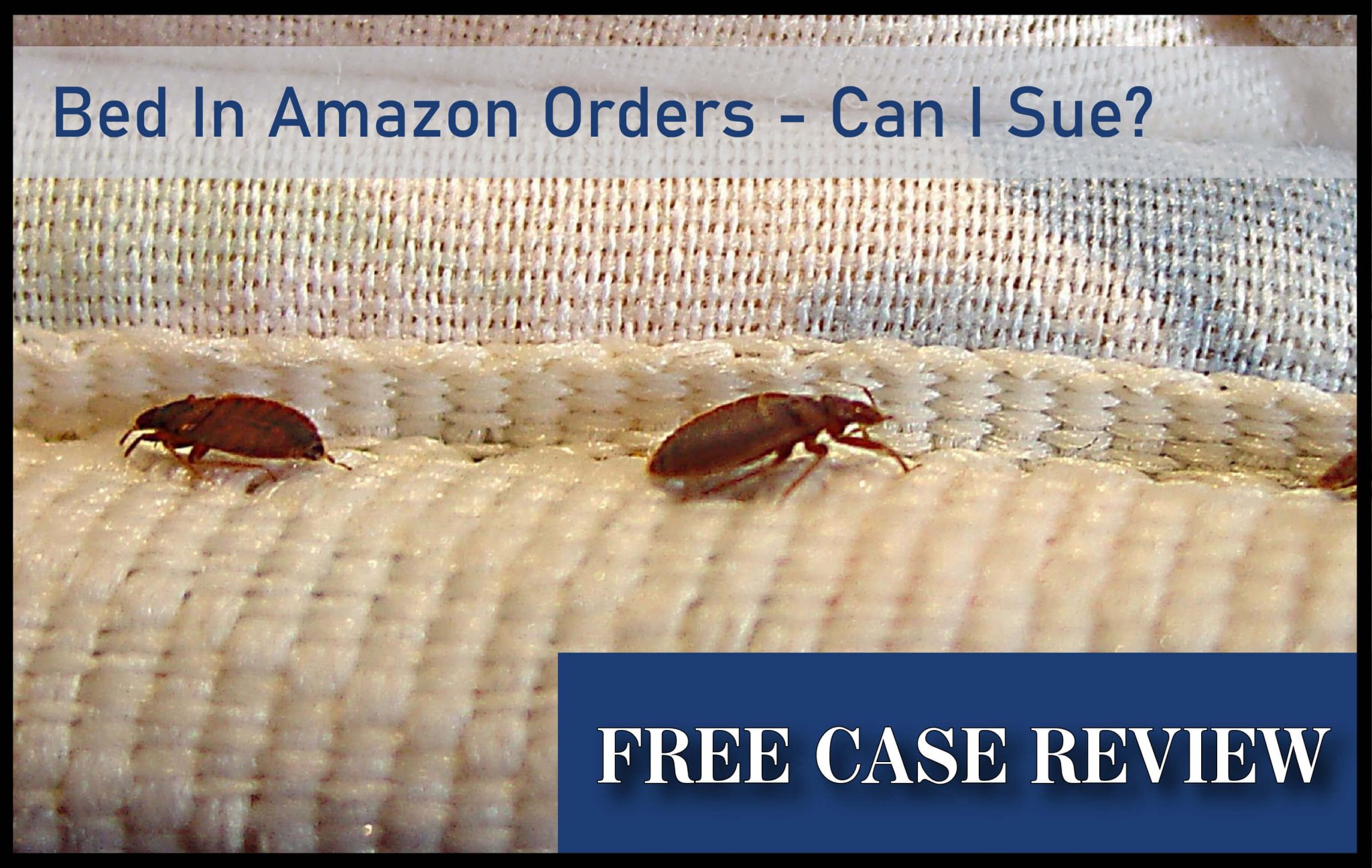 Bed Bugs in Amazon Orders Can I Sue? Bed Bug Lawyer Los Angeles Bed