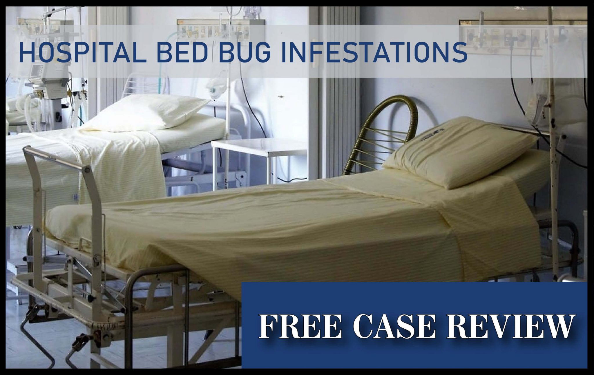 Hospital Bed Bug Infestations Bed Bug Lawyer Los Angeles Bed Bug Attorney