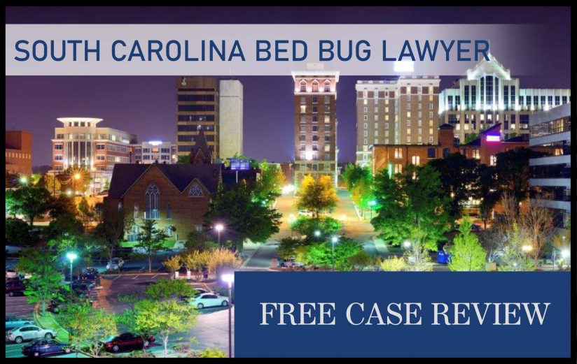 South Carolina Bed Bug Laws—Charleston, Columbia, North Charleston, Mount Pleasant, and Rock Hill lawsuit sue compensation attorney