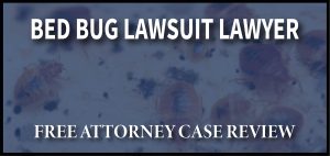 Bed Bug Lawyer in Tucson Arizona sue lawsuit lawyer attorney compensation