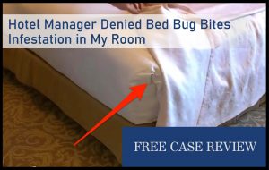 Hotel Manager Denied Bed Bug Bites Infestation in My Room lawsuit compensation lawyer attorney sue
