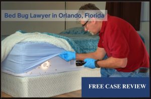 Bed Bug Lawyer in Orlando, Florida attorney sue compensation incident